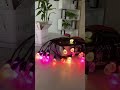 The string lights are in stock and we have all types available.