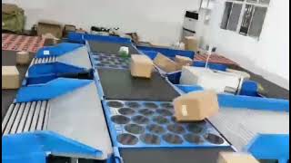 Parcel conveyor singulator sorter