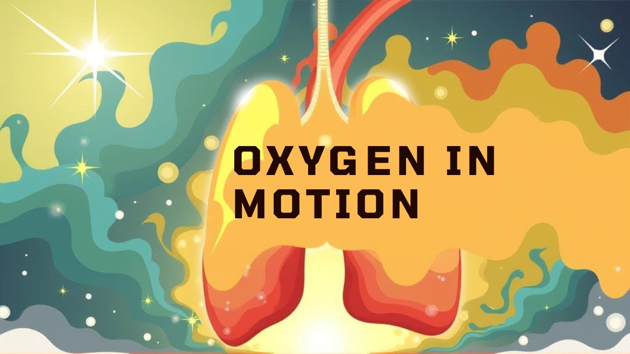 Дыхательная система: кислород в движении