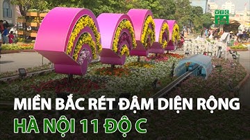 Miền Bắc rét đậm diện rộng, Hà Nội 11 độ C | VTC14