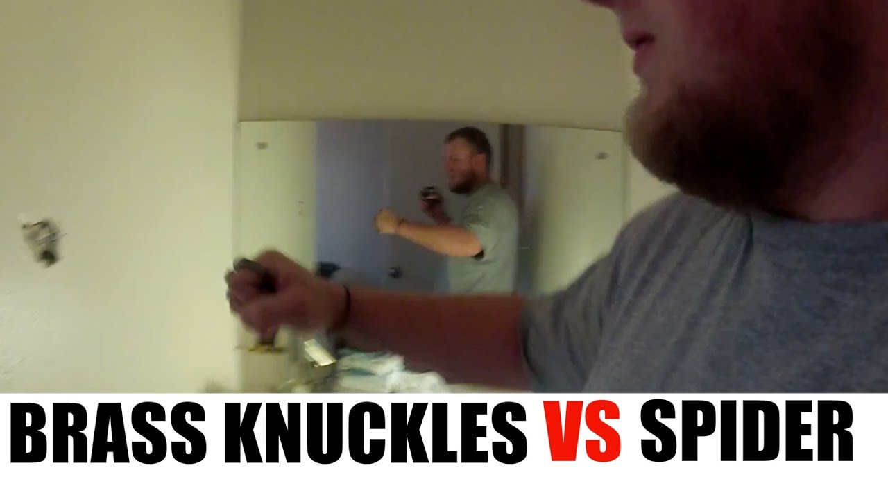 Giant Wall Spider Attacked by Man with Brass Knuckles YouTube