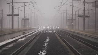 Video thumbnail of "[FULL] BTS (방탄소년단) '봄날 (Spring Day)' - Piano Cover"