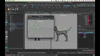 ANIM setup | Maya Tutorial