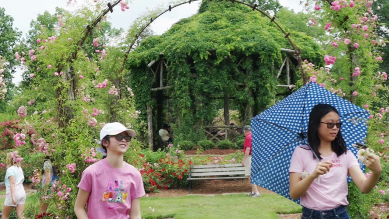 Elizabeth Park Rose Garden