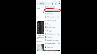 Comment se mettre en navigation privée sur samsung ?