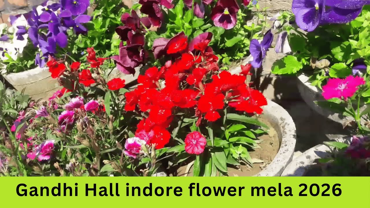 🌻 Flower Mela 2026 | Nature Lovers के लिए स्वर्ग 🌸