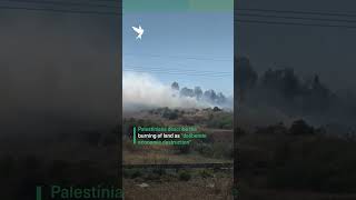 Israeli settlers burn Palestinian crops and farmland across the West Bank