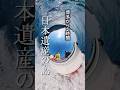 韓国が見える島‼️【対馬】サバイバル体験で食と命と海を学べる体験ツアー‼️【丸徳水産/海遊記】