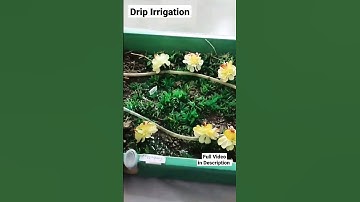 Drip Irrigation Working Model #cbse #science