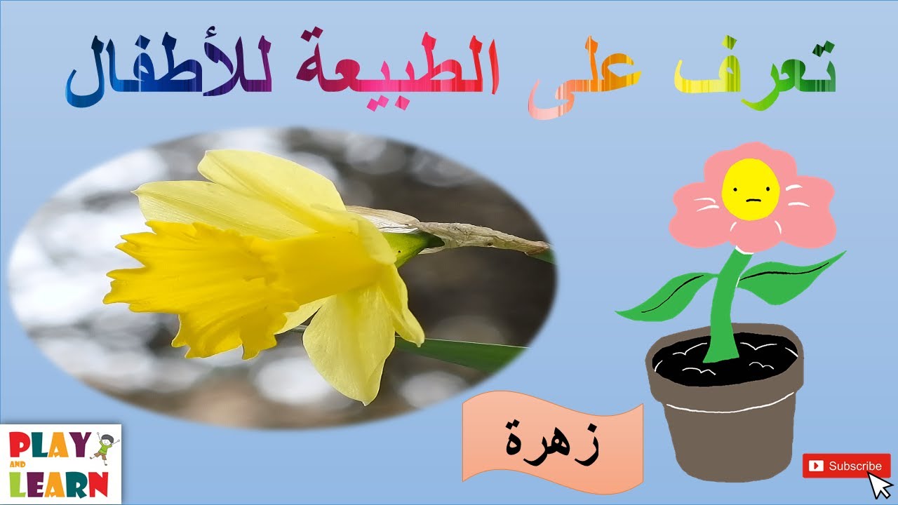 تعرف على الطبيعة للأطفال