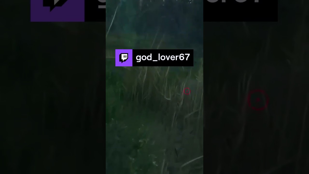 G1 black bear FABLED CHESTNUT LFG | god_lover67 on 