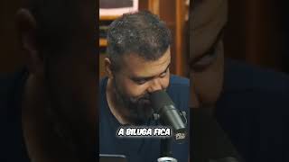 CHAMPOLAS DOURADAS #flow #flowpodcast #vinheteiro #fypシ #igorfina