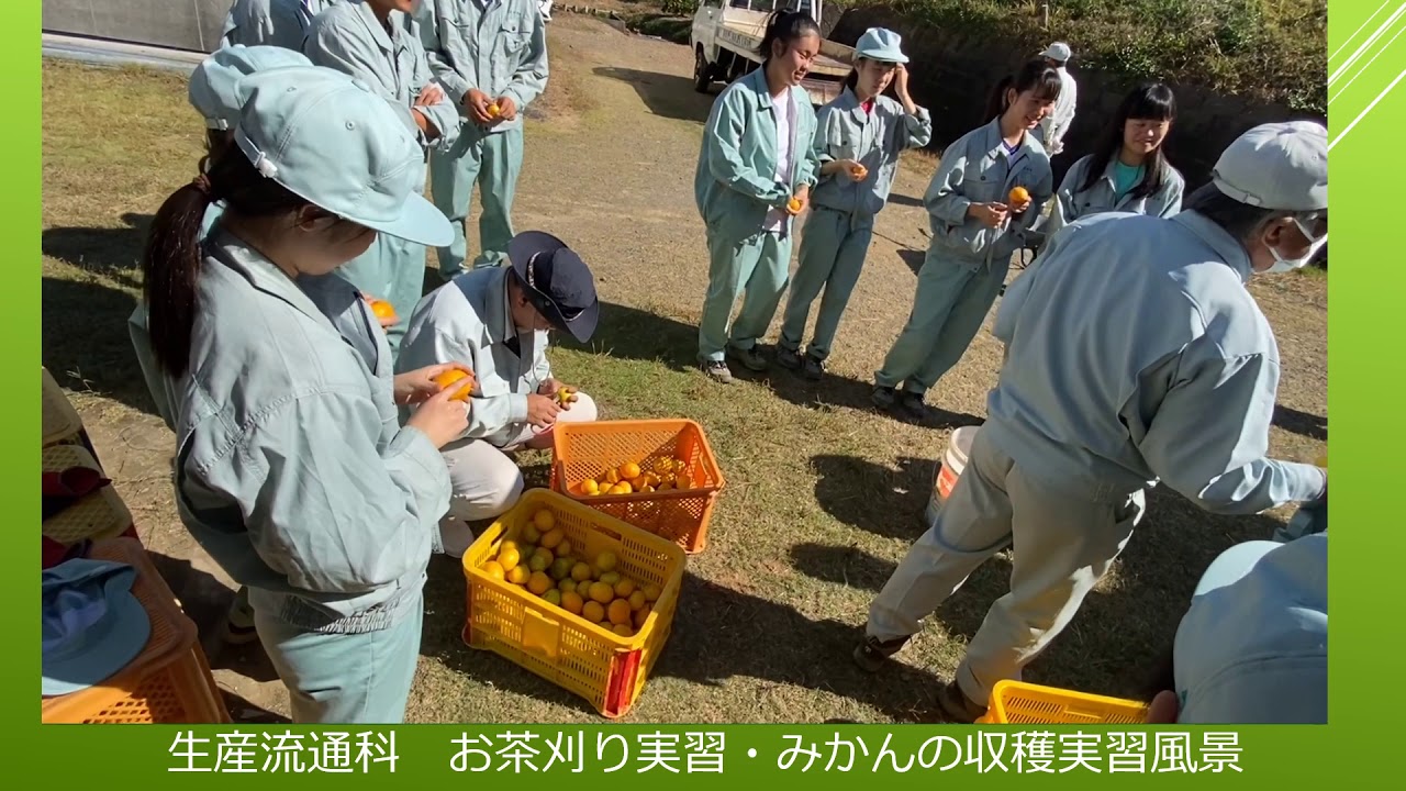 静岡農業高等学校 生産流通科 紹介動画 YouTube