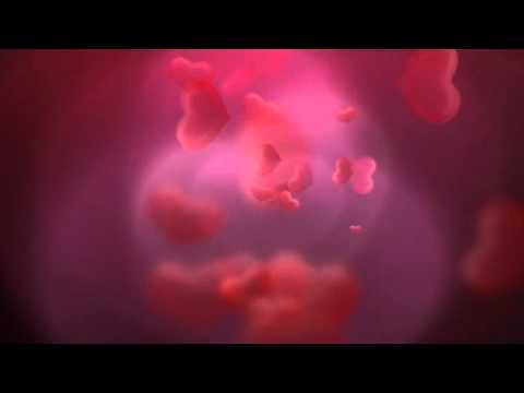 Proshow Producer Background avi - Tossing Pink Hearts