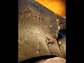 یک هدیه اطرف خداکه همیشه هوای بندهاشوداره ببینید مثل کلیه هست یک هدیه اطرف خداکه همیشه هوای بندهاشوداره ببینید مثل کلیه هست