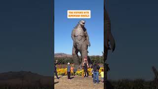 🎃 Spina Farms Pumpkin Patch #instagram #sanfrancisco #california #halloween #spooky #youtubeshorts