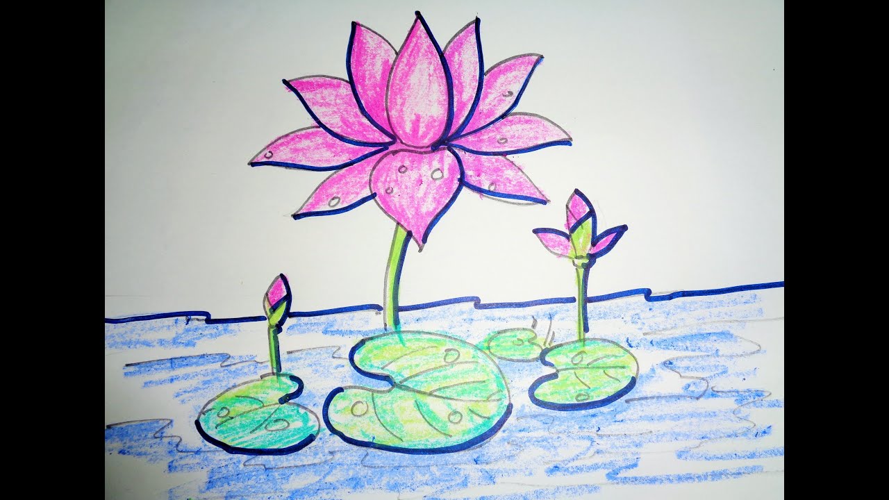 How To Draw Lotus Step By Step - Easy Drawing - YouTube floral diagram of water lily 