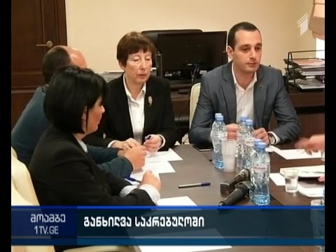 ბაგა-ბაღების სააგენტო საკრებულოს ოპოზიციას ანგარიშს აცნობს