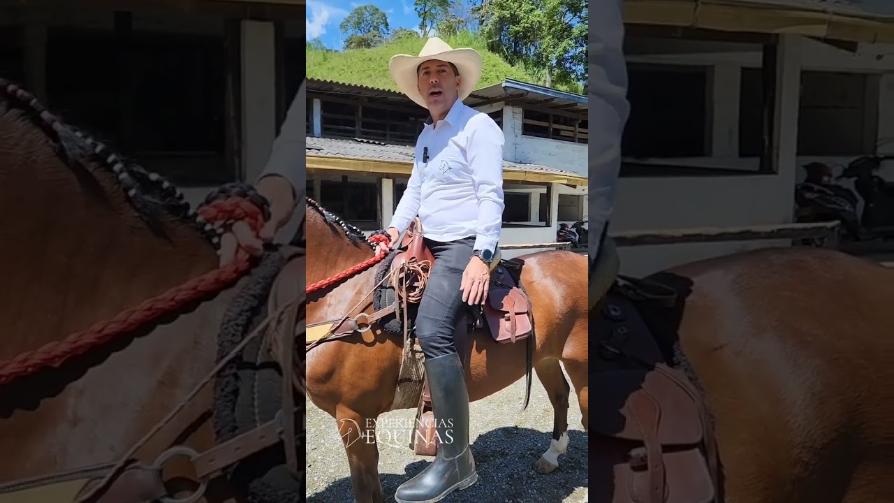 Como montar a caballo por primera vez y disfrutar una cabalgata