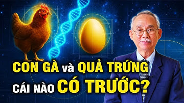 Nghịch Lý Gà & Trứng – Hệ Sinh Học Phức Tạp HẠ GỤC Thuyết Tiến Hóa | Thuyết Tiến Hoá Tập 8