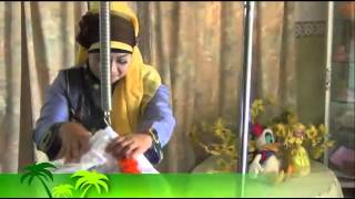 Pesisir Sibolga Song  - Bue Nak Kandung