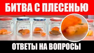 Вот Как Долго Хранить Продукты Чтобы Не Пропали