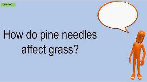How Do Pine Needles Affect Grass?