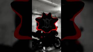 Ptasinski - Light Slowed Concert Reverb