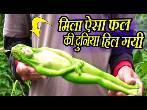 वीडियो: क्या ट्रिक्स कभी फल के आकार के होते थे?