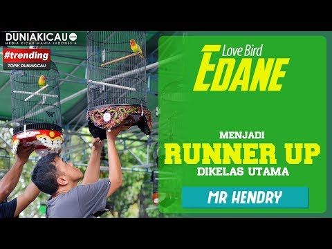 edane-raih-runner-up-dikelas-utama-:-piala-vera-nurlaela-jaman