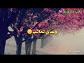 حالات وتس اب نعيم الشيخ عندك عين 