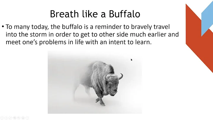 Winter Living: Breathe Like a Buffalo, Spiritualit...