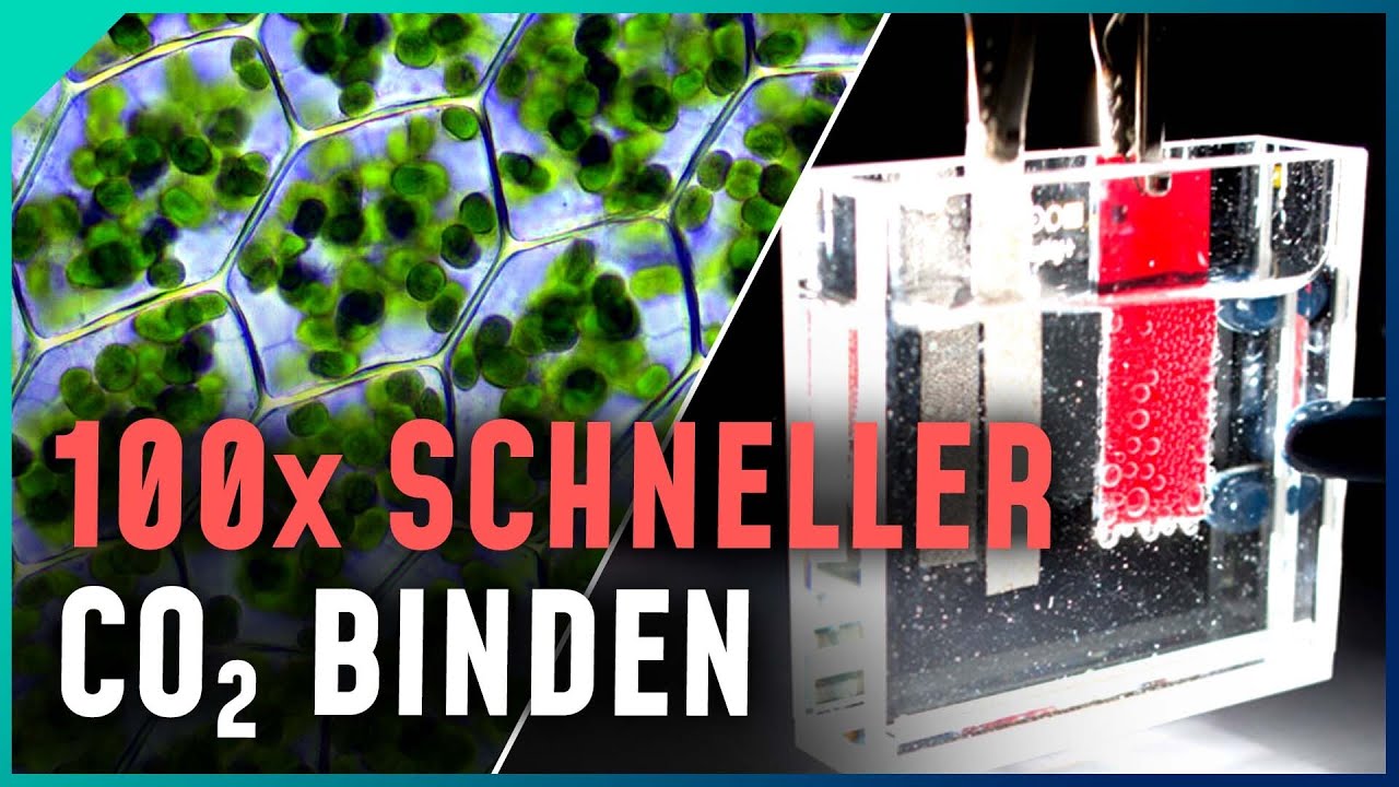 olivenbaum knstlich klein Knstlicher Olivenbaum 120 cm gnstig online kaufen