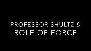 A Tribute to Prof. Richard Shultz