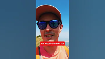Как выглядят эдельвейсы?