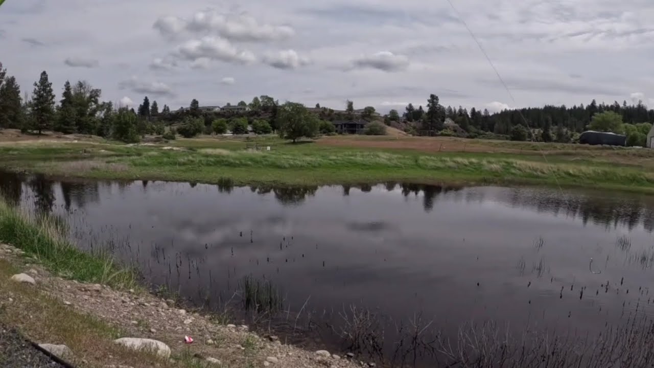 Bass fishing (for the first time)