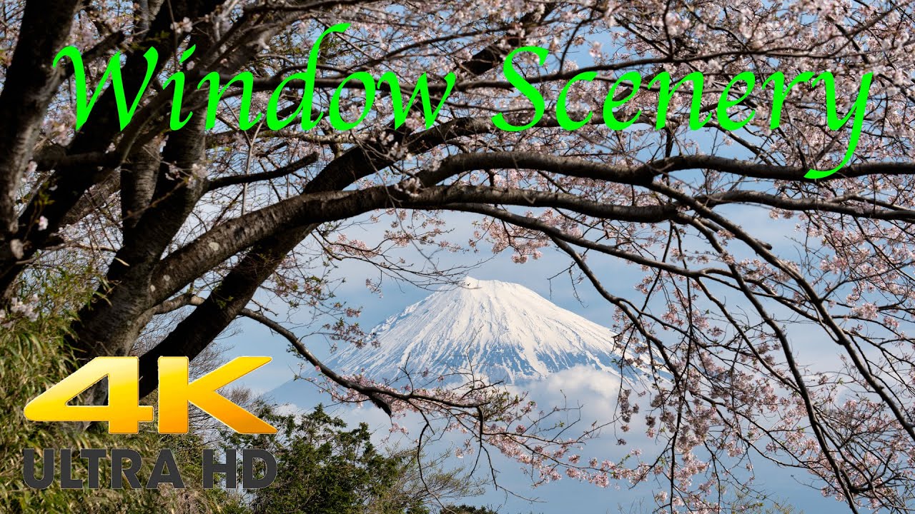 【4K 60P】Mt. Fuji with Cherry Blossoms【Window Scenery】 - YouTube