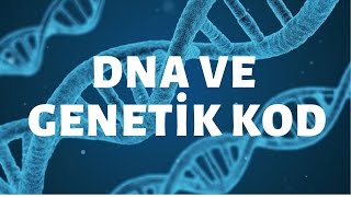 Dna Ve Genetik Kod Lgs 8Sınıf Fen Bilimleri Konu Anlatımı