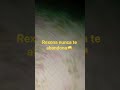 primeiro video :D #trend#video#shorts