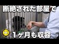 【非道】危険と言われ隔離されていた犬をなんとか保護しました
