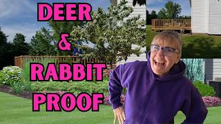  Landscape Design Ideas-Deer & Rabbit Resistant| Before & After