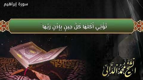 تلاوة رائعة للقارئ الشيخ محمد الدالي   2019