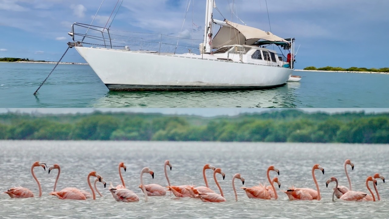 the sailing and anchoring dance