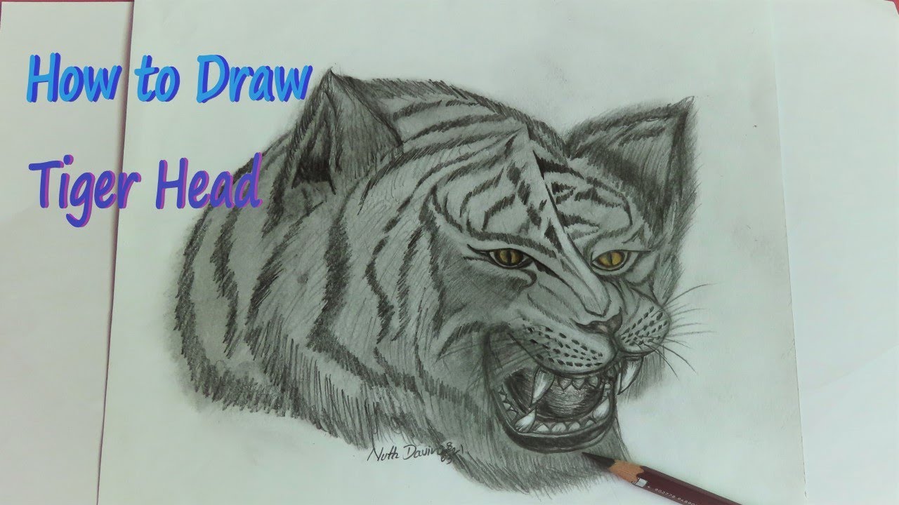 How to Draw a Tiger Face/ Nuth Davin Drawing Arts
