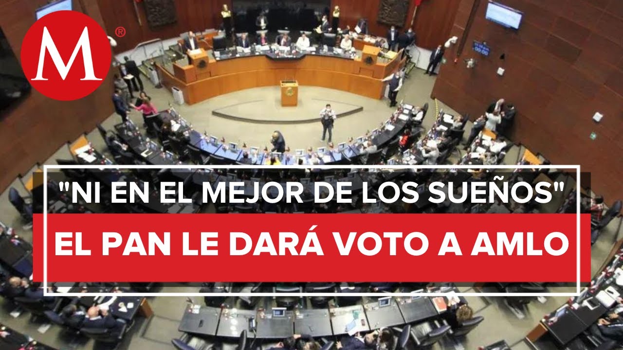 PAN en el Senado “no negociará ni un milímetro” de la reforma electoral