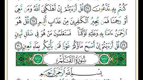 ختمة تلاوة لمصحف التجويد بصوت القارئ محمد حبش الصفحة رقم 564