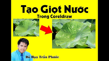 Tạo giọt nước trên lá trong CorelDraw/Create water droplets on leaves in CorelDraw