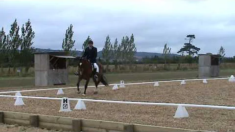 Tom's Rhapsody's Rosemary Spence memorial freestyle