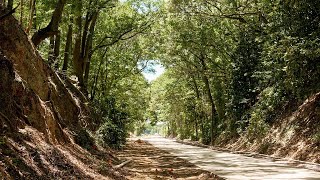 Beltline expansion creates nearly 17 miles of continuous trail during World Cup