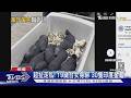 開除韓國瑜爭議